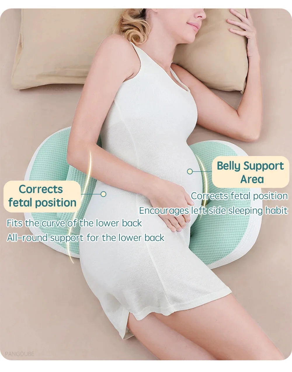 PANGDUBE Pregnancy Pillow | Lumbar Support and Comfortable Sleep | Pregnant Women